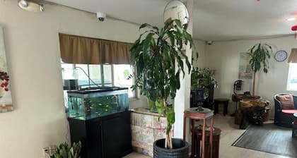 Palm Inn Motel - Rosemead Los Angeles