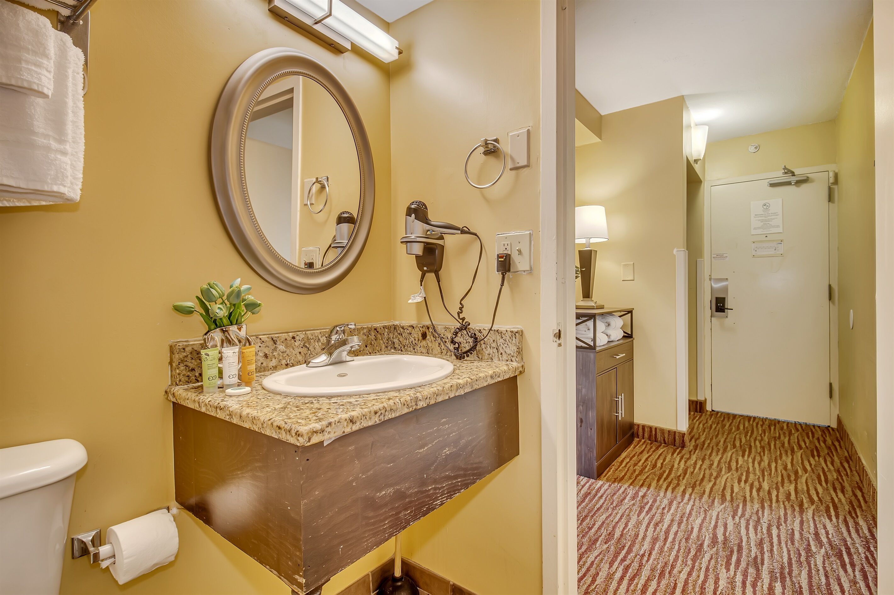 A hotel bathroom with a sink, mirror, hairdryer, and towel rack.
