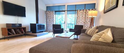 Smart TV, fireplace, books, music library