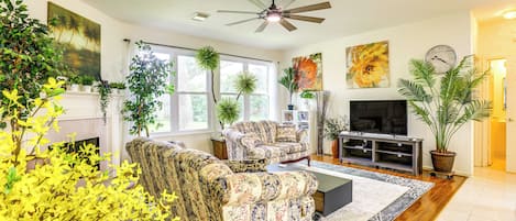 TV, fireplace, books
