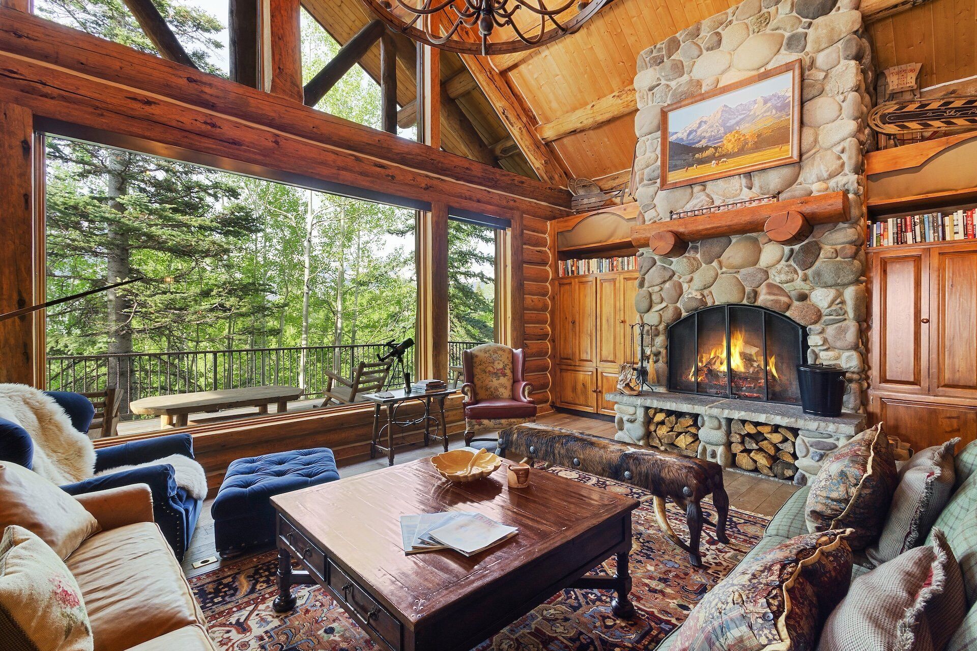 テレビ、暖炉、書庫、ス  テレオ