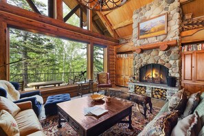 TV, fireplace, books, stereo