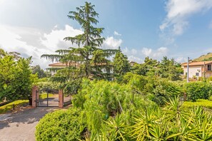 Área da propriedade