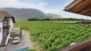 A vineyard with a house and a car in the foreground, and mountains in the background.