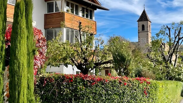 A modern building with a tower, surrounded by greenery and flowers.