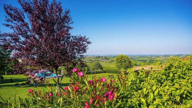 A lush garden with a tree, flowers, and a view of a village. - Villa 'Casa Vacanze Elios B' with Mountain View, Wi-Fi and Air Conditioning (Unknown)