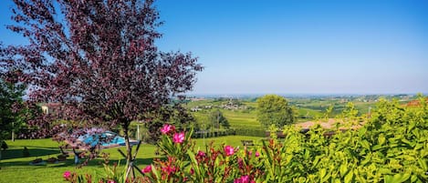 Terrain de lâhĂ©bergement