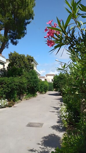 Eine schmale Straße, gesäumt von Grünflächen und Gebäuden.
