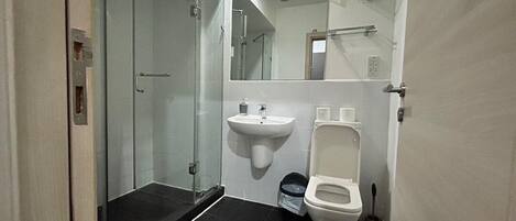 A modern bathroom with a glass shower enclosure, a white sink, and a toilet.