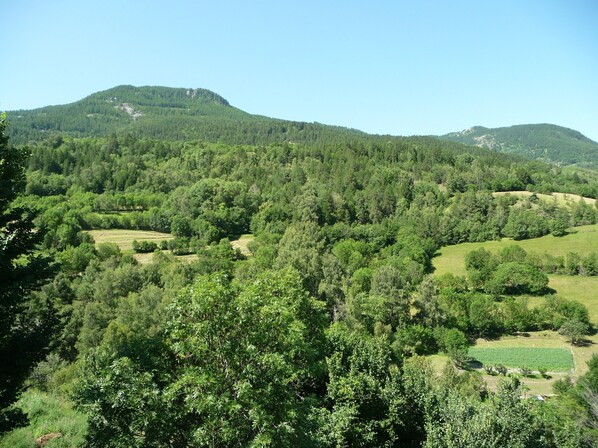 Un paisaje montañoso con bosque denso y campos.