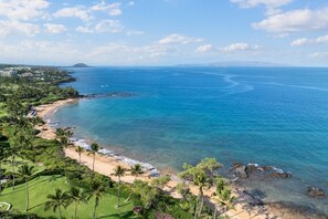 A coastal landscape with a beach, palm trees, and a clear view of the ocean.