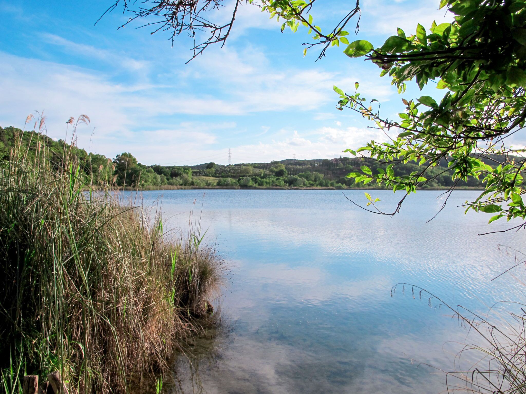 A calm lake with surrounding greenery and hills in the background.