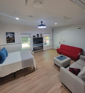 Smart TV, fireplace, DVD player, music library
