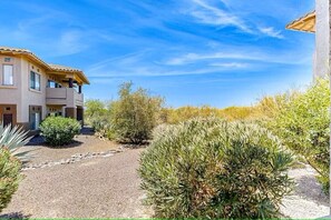 Property grounds - Charming 2-bedroom condo with AC, WiFi in serene Oro Valley (Oro Valley)