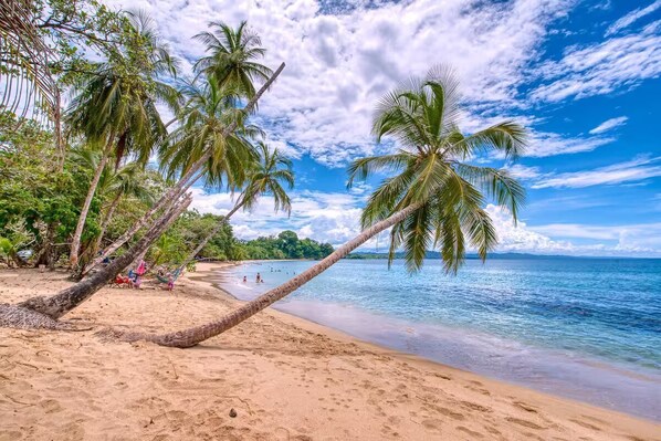 On the beach - Tres Pipas-Casa Selva - Beachfront Arrecife and Jungle Facing Luxury, WiFi, AC (Limón)