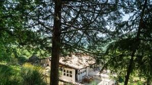 Una cabana allunyada amb teulada de rajola, envoltada per un bosc dens i una paret de pedra.