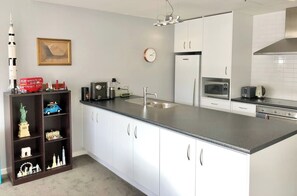 Mikrovågsugn, ugn, spishäll och diskmaskin
