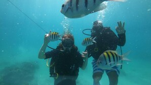 Dos buzos bajo el agua rodeados de peces.