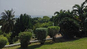 Ein üppiger Garten mit verschiedenen Bäumen und Sträuchern, einem klaren Himmel und einer entfernten Meerblick.
