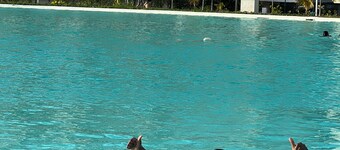 Luxury apartment in front of the largest artificial beach in latioamerica
