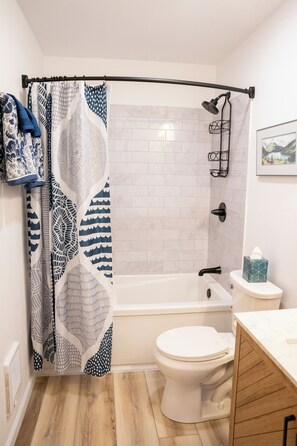 Hair dryer, towels, soap, toilet paper