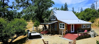 Couples 1 Bedroom Cabin, HOT TUB, FIRE-PIT, PETS on 40 acres!