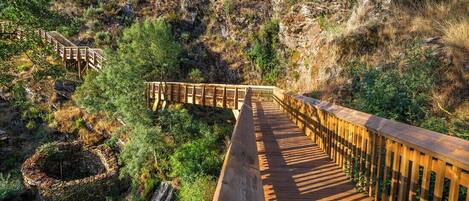 Àrea exterior de l'allotjament