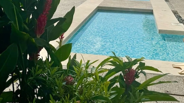 A pool area with lounge chairs and palm trees, overlooking a clear blue sky and ocean. - Beachfront Studio with Balcony, Rooftop Pool & Gym Access (Puerto Vallarta)