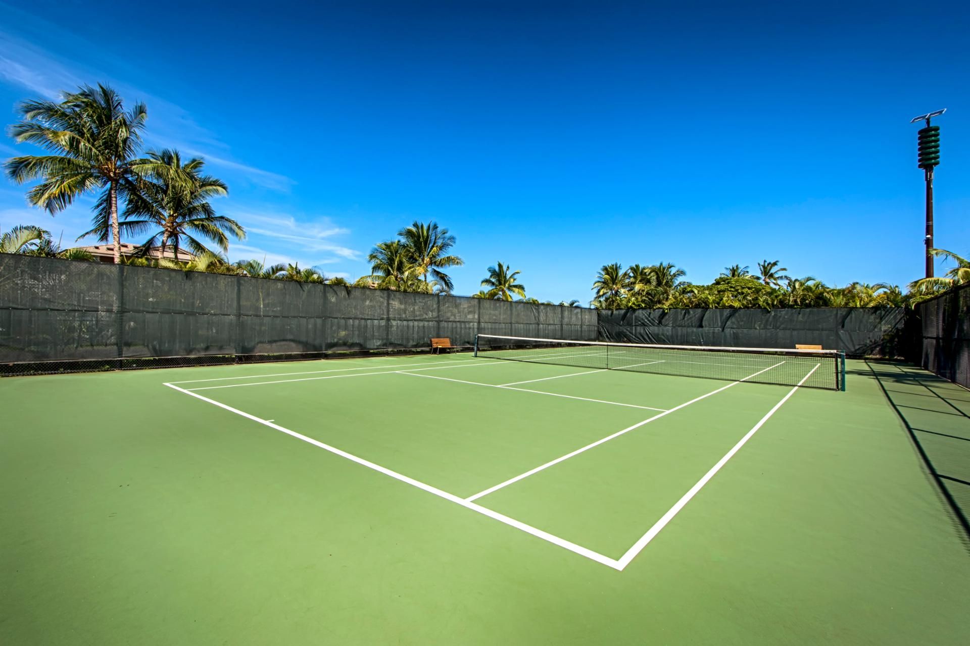 A tennis court with a net, surrounded by a black wall and palm trees.