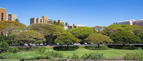 施設の敷地