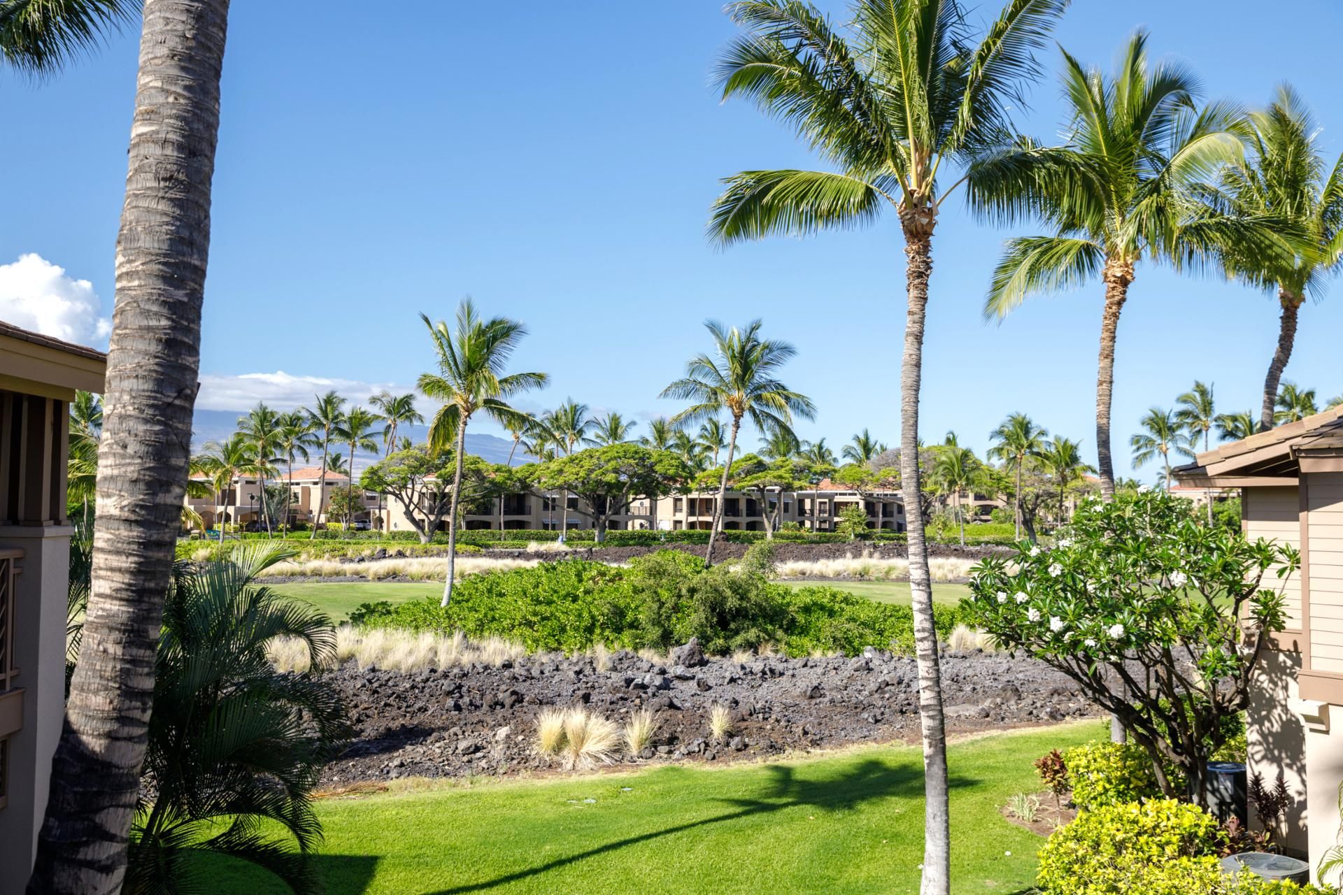 A resort with multiple-story buildings, palm trees, and a lava rock garden.