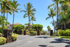 A paved driveway leading to a gated entrance with palm trees and a view of the ocean.