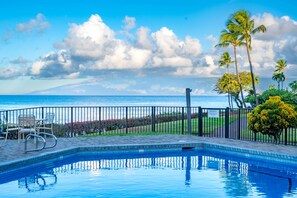 Une piscine avec vue sur l’océan et les palmiers.