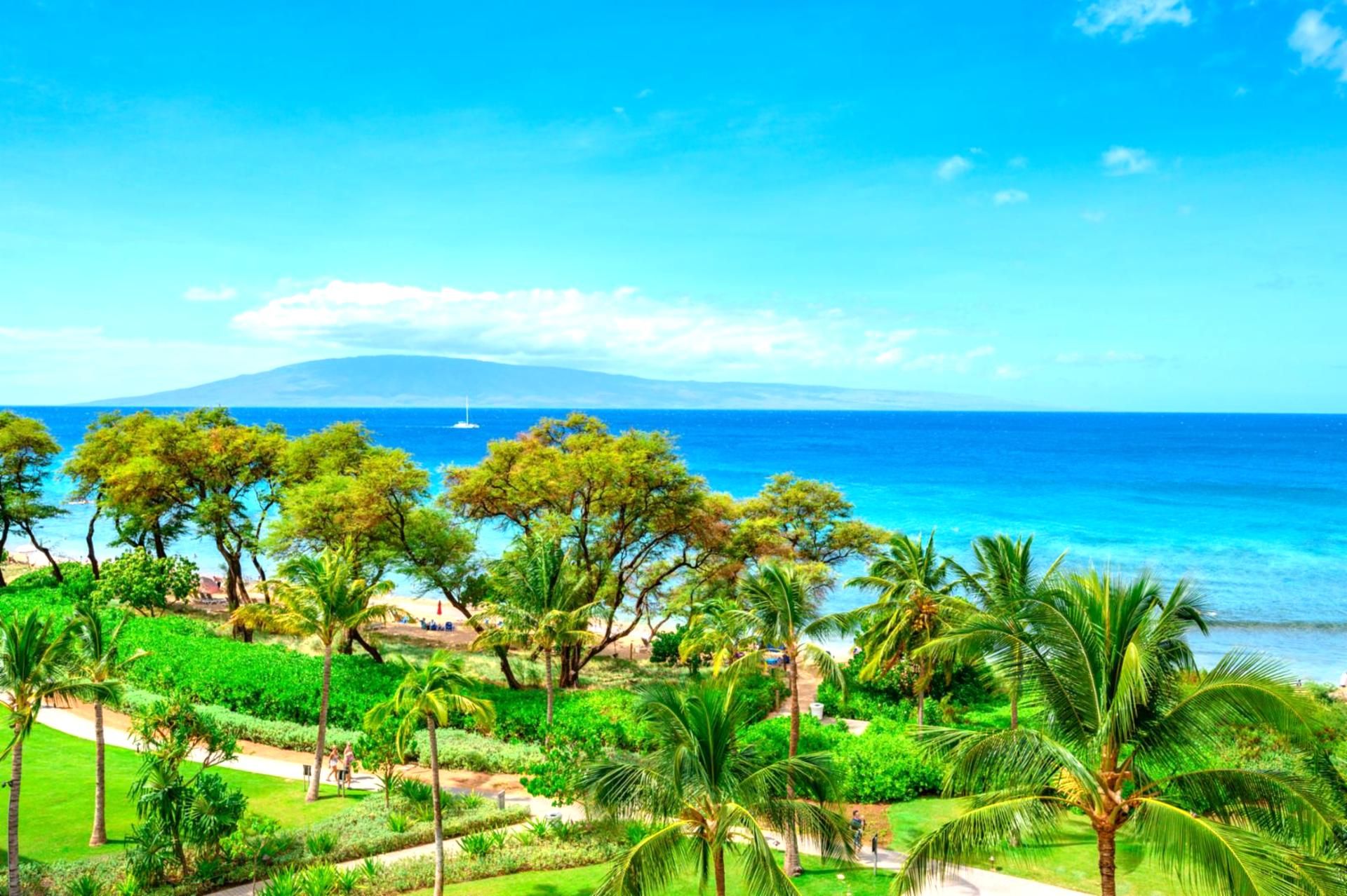 Un paisaje tropical con vista despejada al océano, palmeras y una montaña distante.