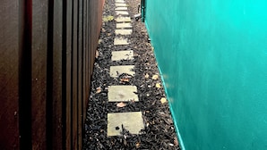 Ein schmaler Pfad mit einem Holzzaun an einer Seite und einer grünen Wand an der anderen, der zu einem überdachten Bereich mit einem blauen Dach führt.