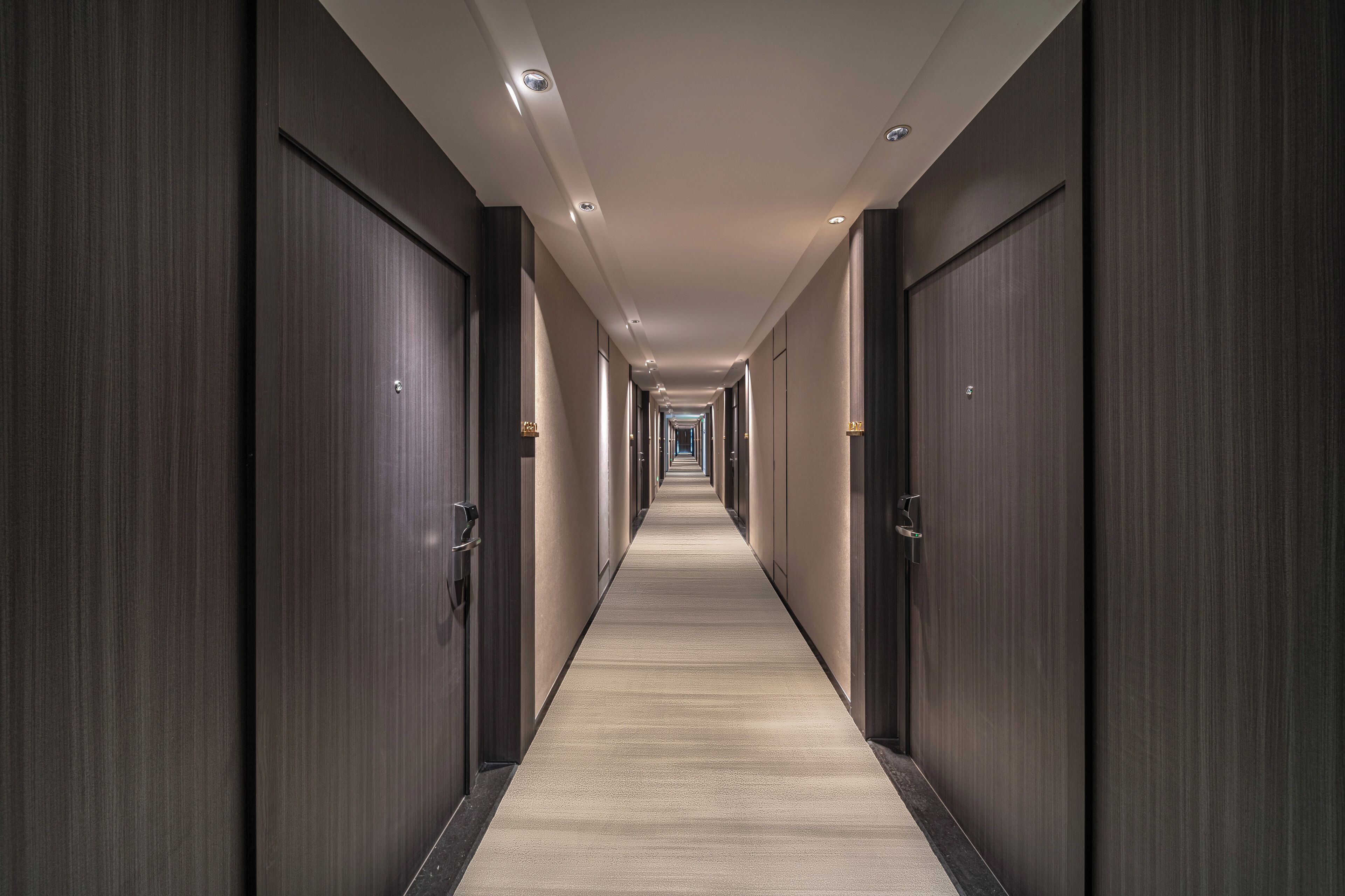 A long, narrow hallway with dark wooden doors on both sides and a carpeted floor.