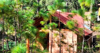 Cabin for 2 in San Giussepe Forest