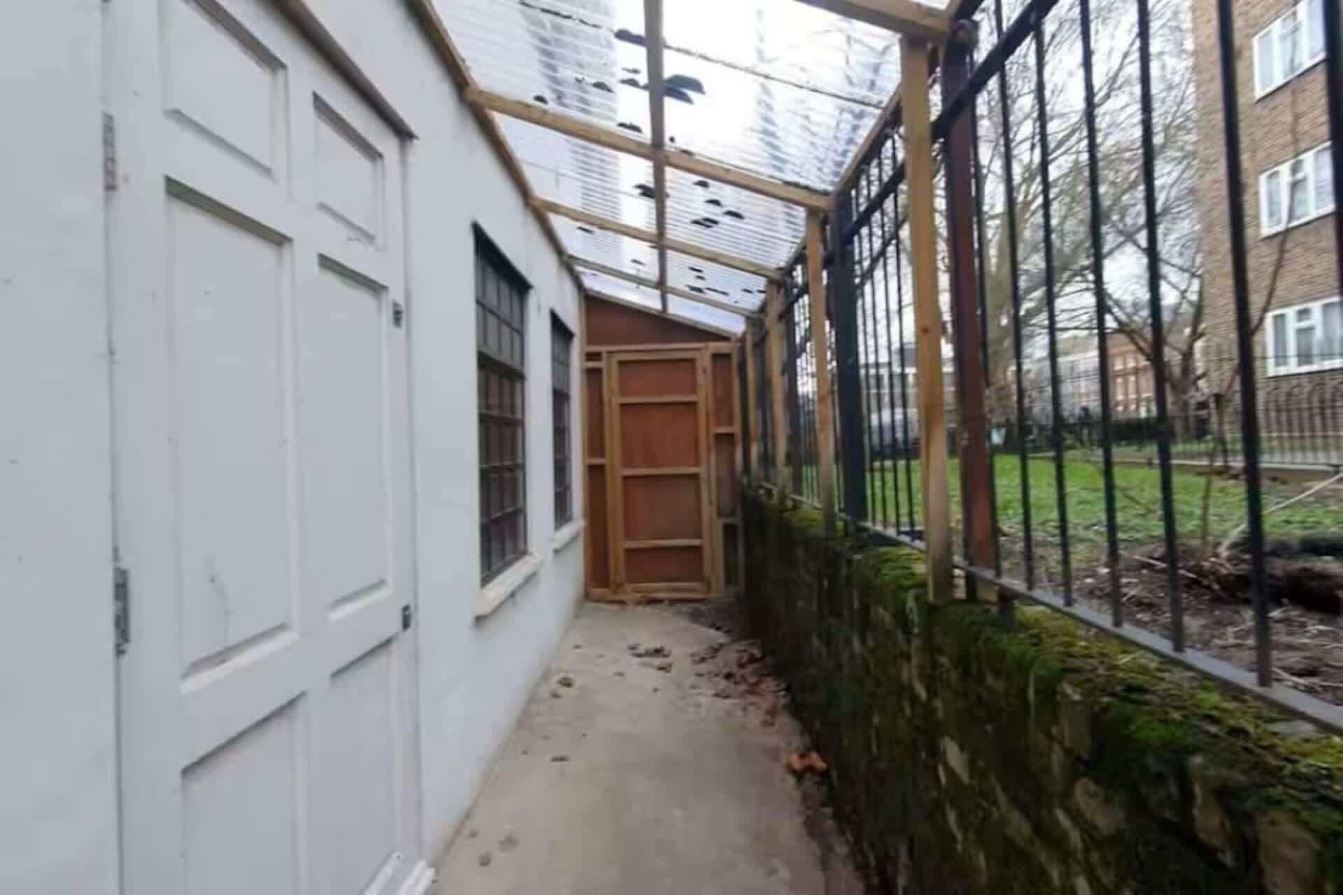 A narrow corridor with a white door, a wooden door frame, and a metal fence with a green wall.
