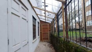 A narrow corridor with a white door, a wooden door frame, and a metal fence with a green wall.