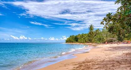 Tres Pipas-Tucan - Beachfront Arrecife, Wifi, AC