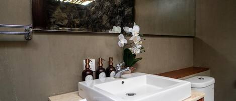 Assecador de cabells, tovalloles, sabó i paper higiènic