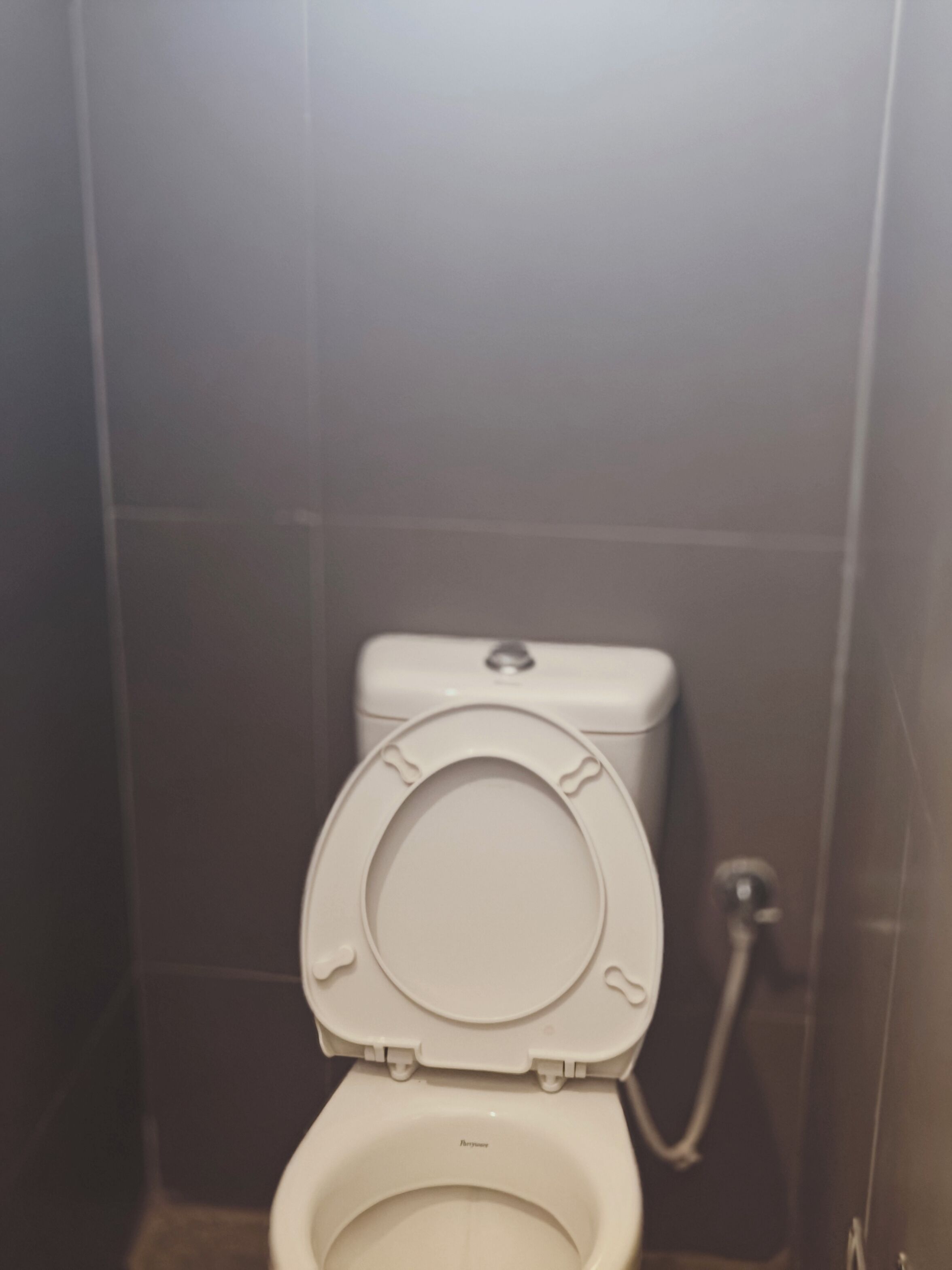 A standard toilet with a closed seat and lid, a visible flush handle, and a wall-mounted flush button.