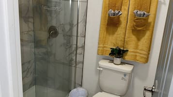 Regadera, secadora de cabello, toallas, jabón