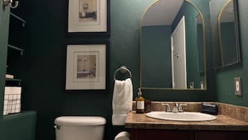 Hair dryer, towels, soap, toilet paper