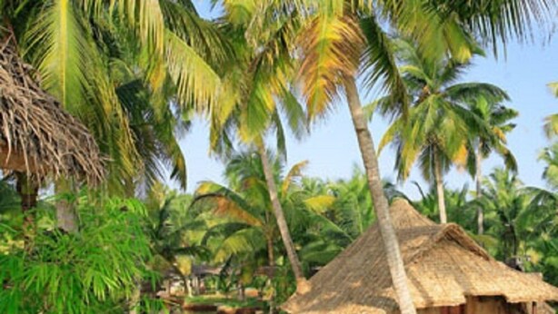 A traditional thatched-roof house by a calm water body, surrounded by lush greenery and palm trees. - Eco House Boats - Alleppey Kerala (Alappuzha)