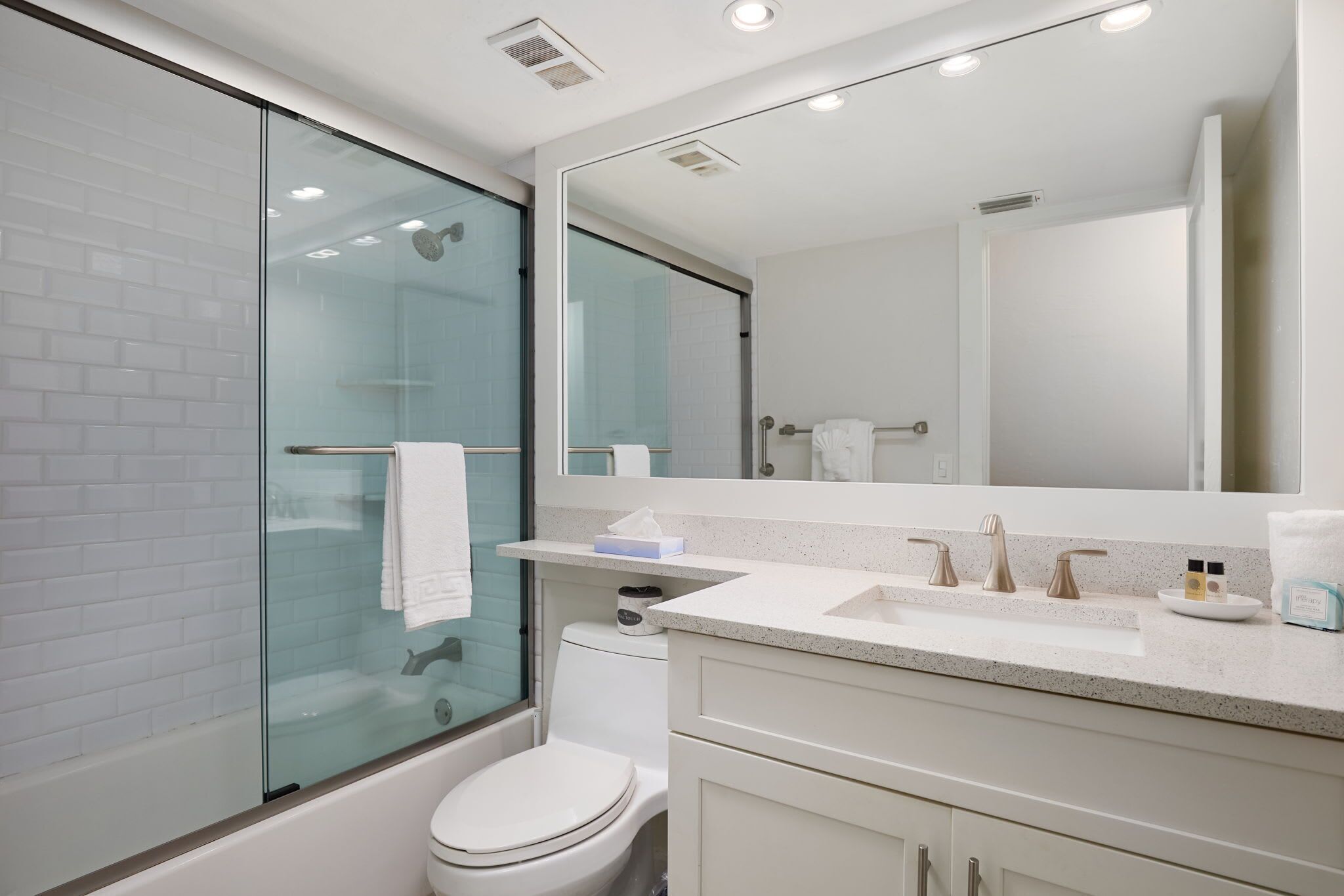 Guest bathroom
