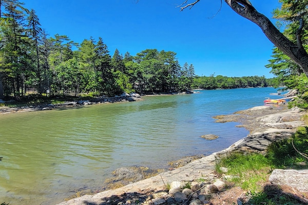 Come paddle or swim on the shoreline!