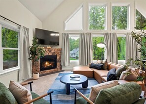 Fernseher, Kamin, Bücher, Arbeitsbereiche