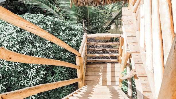 A wooden staircase leading to a thatched-roof structure surrounded by lush greenery. - Honeymoon Nest Zanzibar in Jambiani (Jambiani)