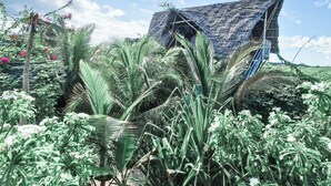 A tropical garden with a thatched-roof structure amidst lush greenery and flowering plants. - Honeymoon Nest Zanzibar in Jambiani (Jambiani)